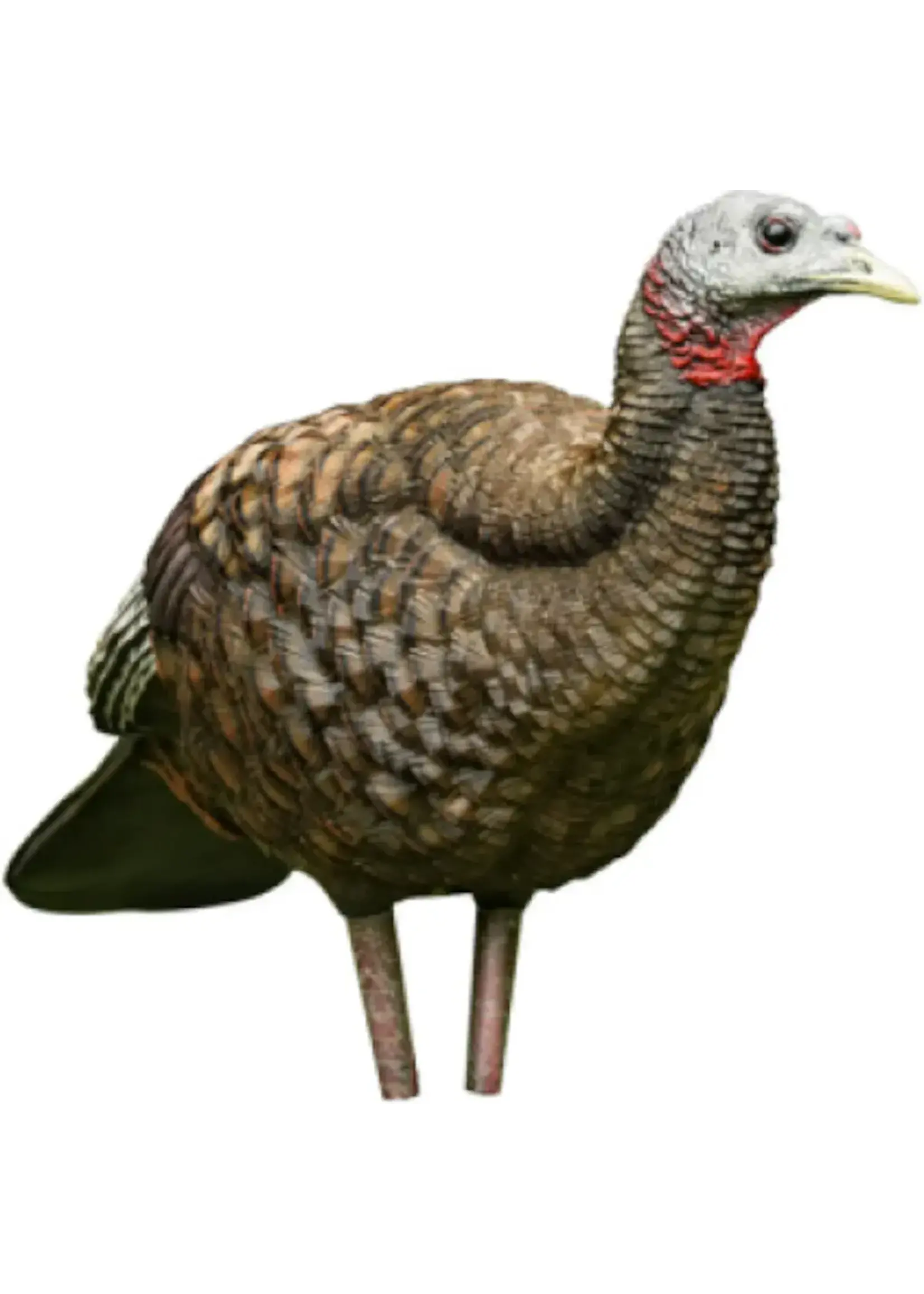 Avian X lcd breeder hen lifelike callapsible decoy