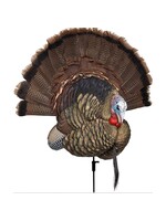 Avian X trophy tom
