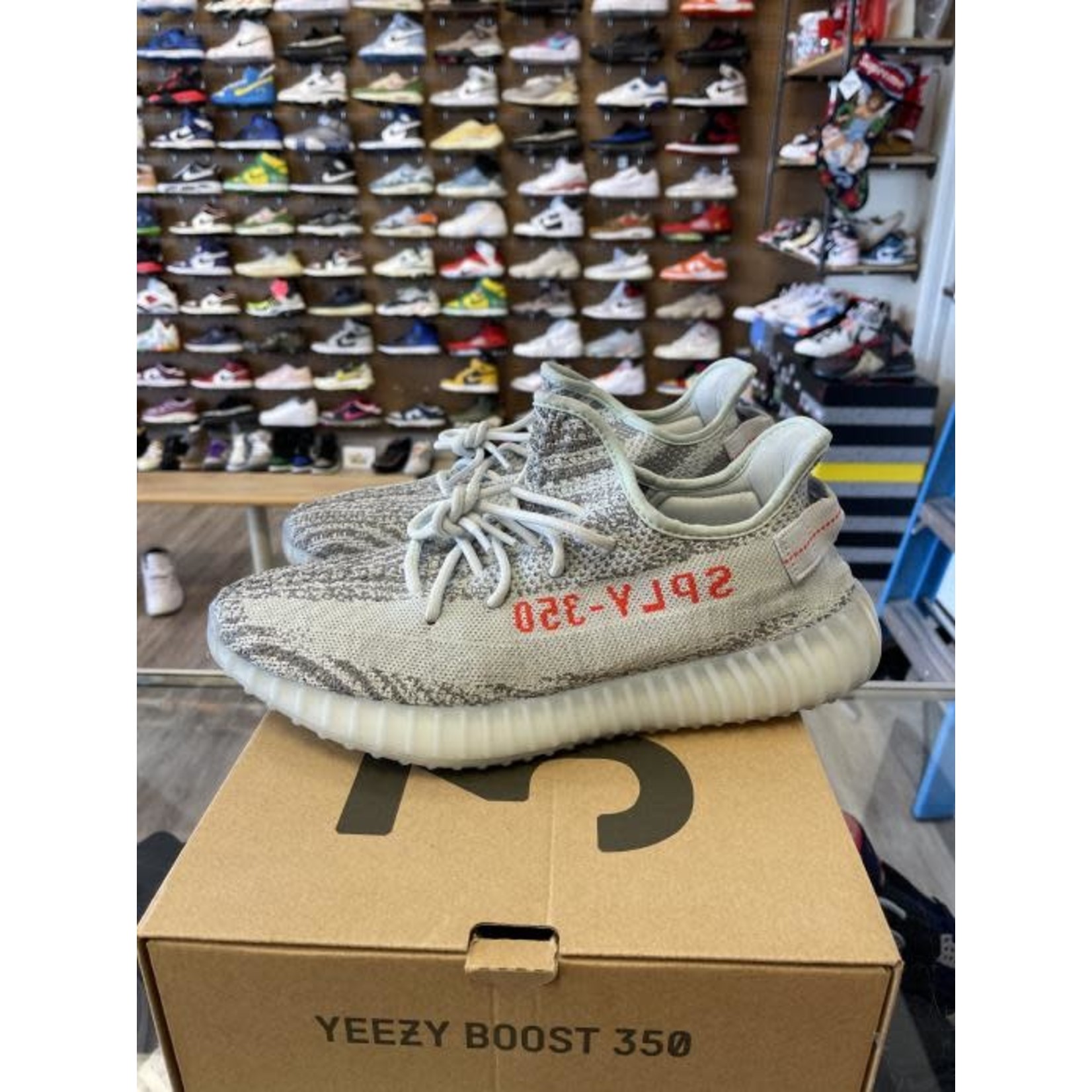 blue tint yeezy size 12