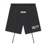 Fear of God Fear Of God Essentials 1977 Shorts Iron Size Large, DS BRAND NEW
