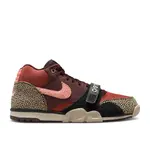 Nike Nike SB Air Trainer 1 Arts-Rec Limestone Size 8.5, DS BRAND NEW
