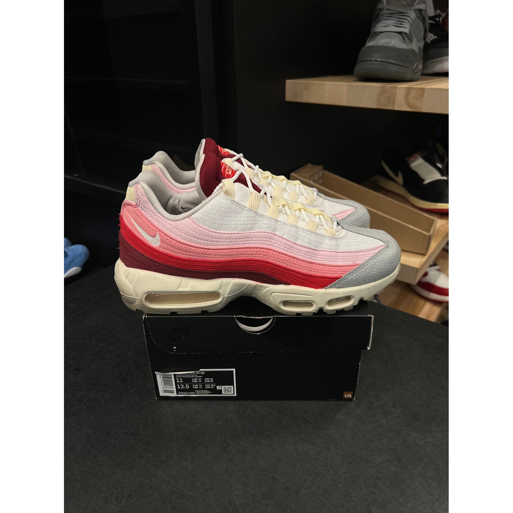 Nike Nike Air Max 95 Anatomy of Air GID Size 11, PREOWNED