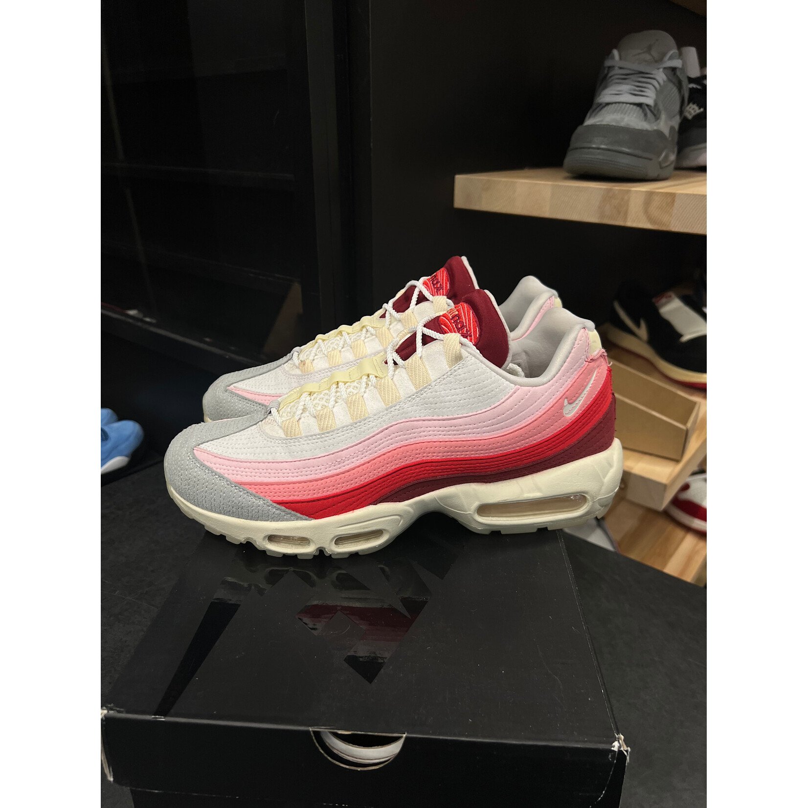 Nike Nike Air Max 95 Anatomy of Air GID Size 11, PREOWNED