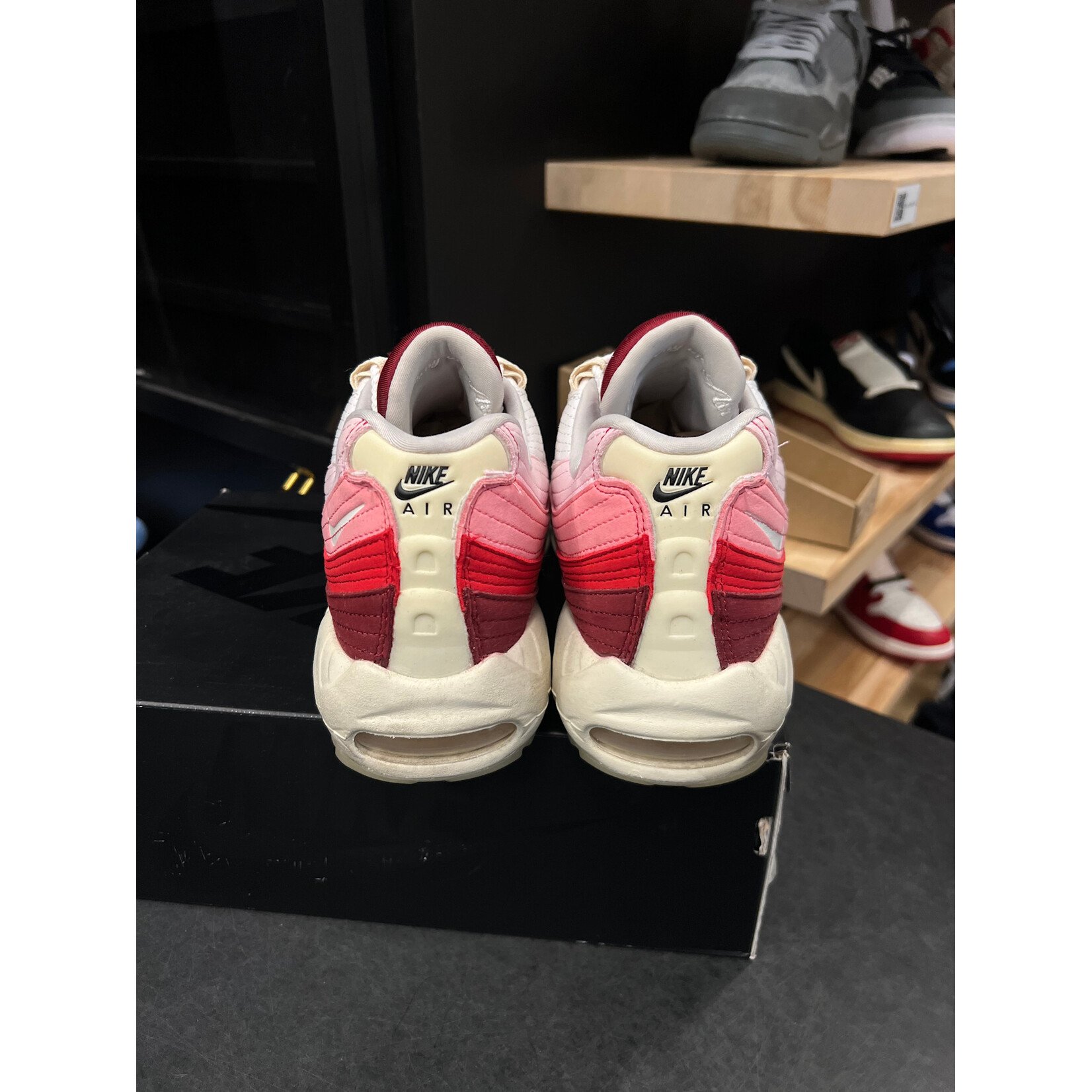 Nike Nike Air Max 95 Anatomy of Air GID Size 11, PREOWNED