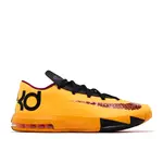 Nike Nike KD 6 Peanut Butter & Jelly (PBJ) (2026) Size 12, DS BRAND NEW*