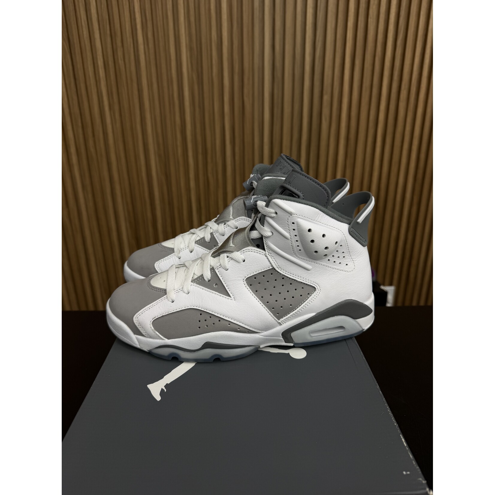Jordan Jordan 6 Retro Cool Grey Size 9.5, PREOWNED