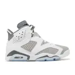 Jordan Jordan 6 Retro Cool Grey Size 11, DS BRAND NEW*