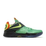 Nike Nike KD 4 Weatherman (2024) Size 10.5, DS BRAND NEW*