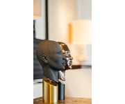 Conca Statue Brown & Brushed Brass Base