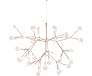 Heracleum III Suspended