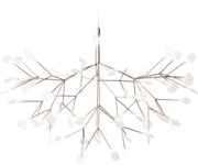 Heracleum III Suspended