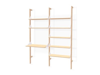 Branch-2 Shelving Unit with Desk