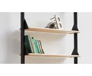 Branch Shelves 5 Pack