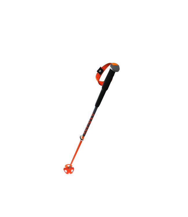 TR Carbon Vario 110-145cm