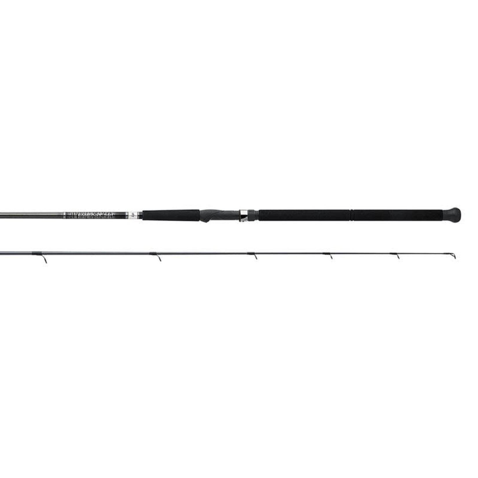 Daiwa Daiwa Emcast Casting Surf Rod