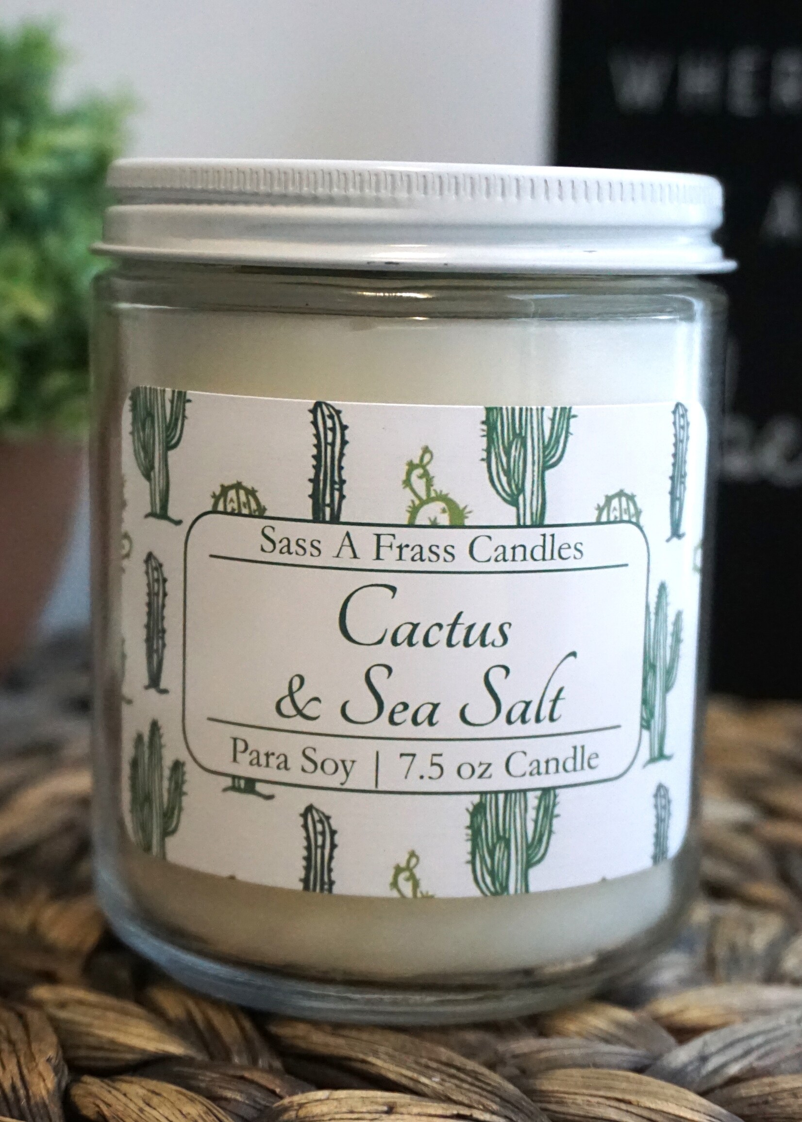 Cactus & Sea Salt 7.5 oz Candle