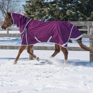 Canadian Horsewear Diablo Plum 300g