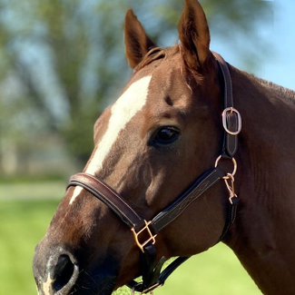 Sage Rose Gold Halter