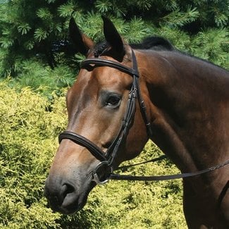 Premier Padded Bridle