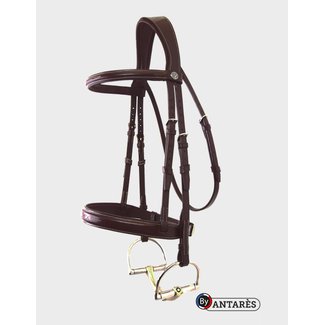 Antares Fancy Hunter Bridle