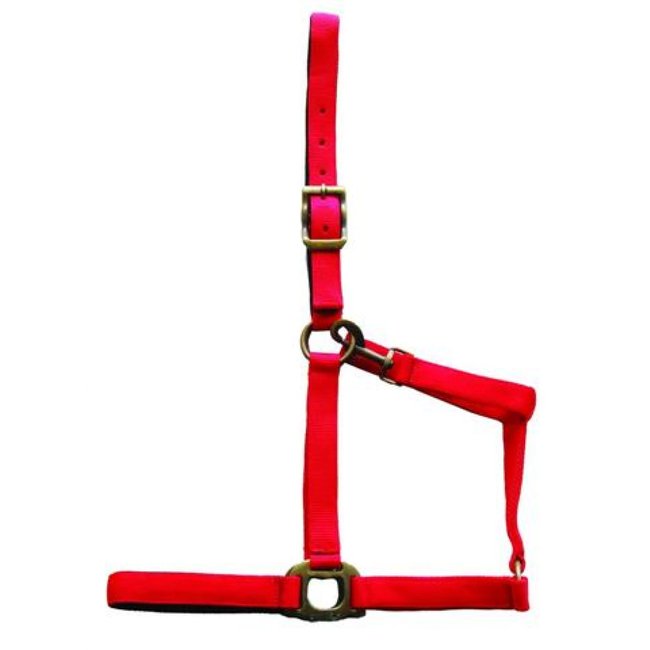 Cavalier Nylon Padded Halter