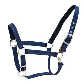 Classib Western Raw Leather Halter With Carabiner Hook - Blue