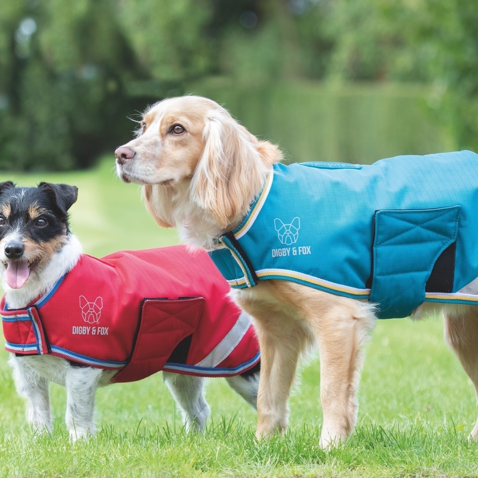 Digby and fox Digby Waterproof Dog Coat
