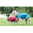 Digby and fox Digby Waterproof Dog Coat