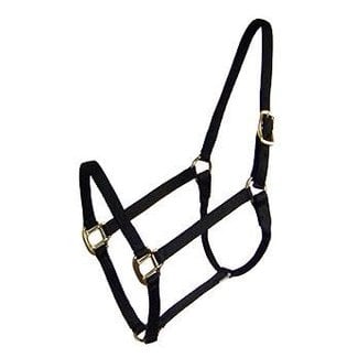 Draft 1" Halter BLK