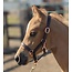 Sage Family Rose Gold Leather Halter