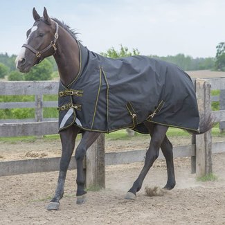 Canadian Horsewear 50gm Mamba