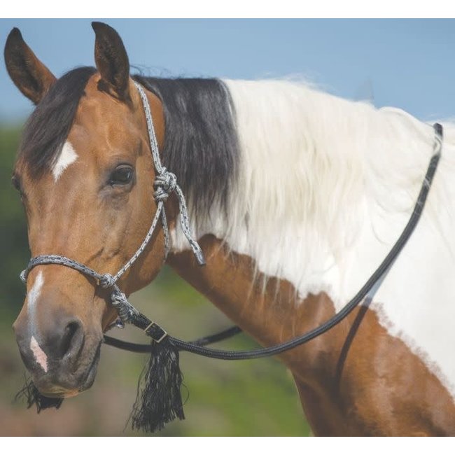 Bitless Bridle