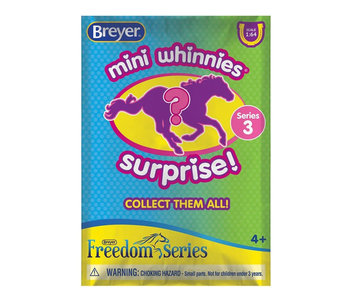 Mini Whinnies Suprise