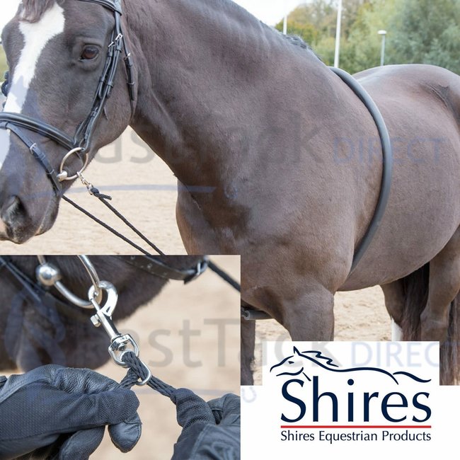 Shires Soft Lunge Aid