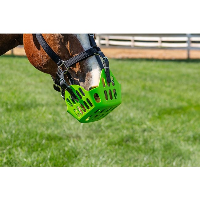 GreenGuard GreenGuard Grazing Muzzle