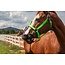 GreenGuard GreenGuard Grazing Muzzle