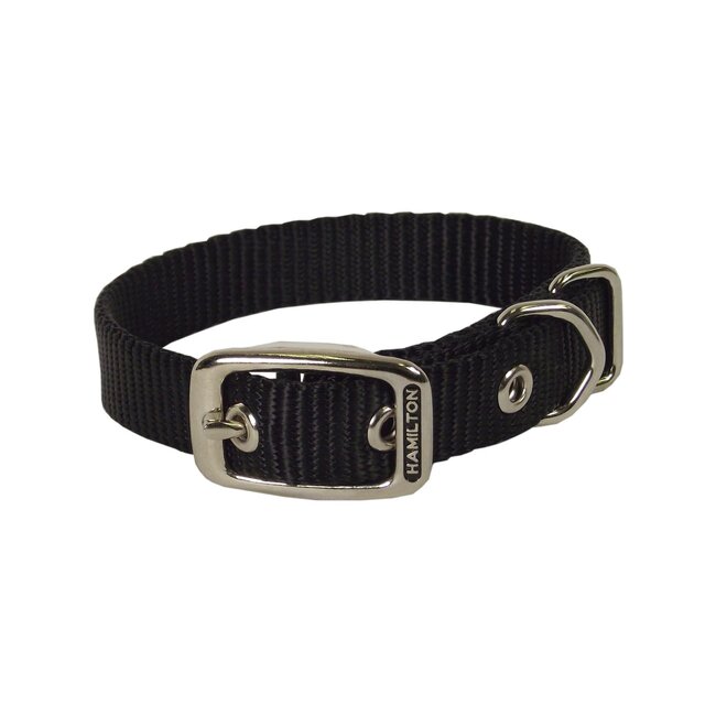 5/8"  Dog Collar