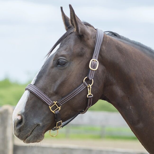 Bromont Leather Halter with Brass Hardware