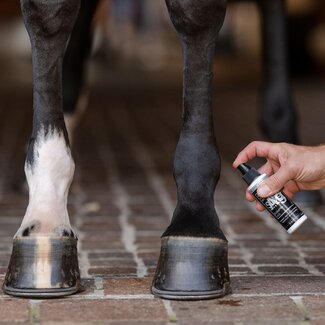 Equifit AG Silver CleanSpray 4oz- Equifit