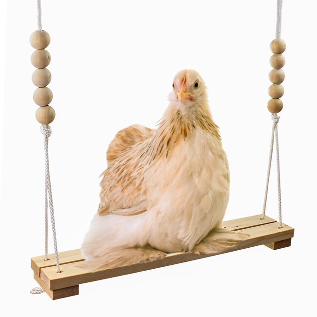 Chicken Swing 15.7"