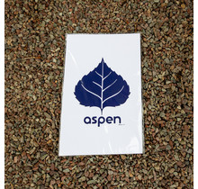 Ohana - Aspen Leaf - Print