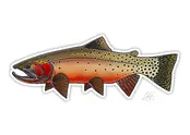 Casey Underwood - Fish Decals