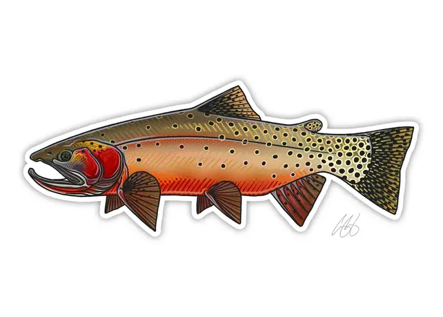 Casey Underwood - Fish Decals