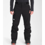 Freedom Insulated Men's Pant