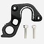 Derailleur Hanger QR ST DS 025-