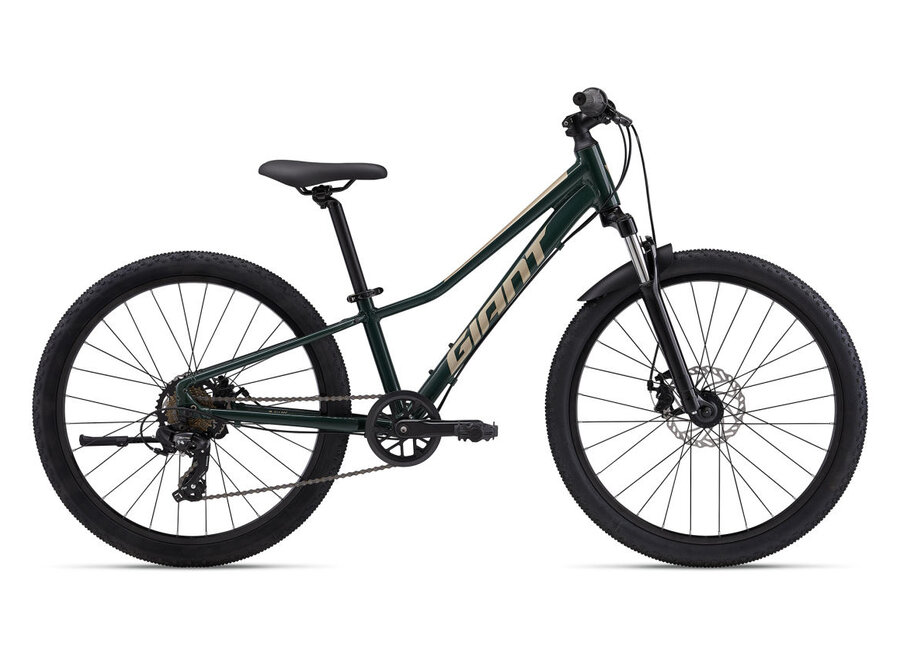 Talon 24 Disc