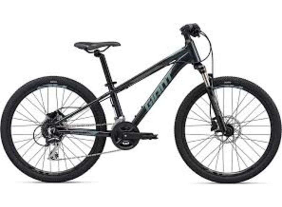 XTC SL Jr 24