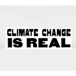 Nicole Lavelle Climate Change Is Real Bumper Sticker