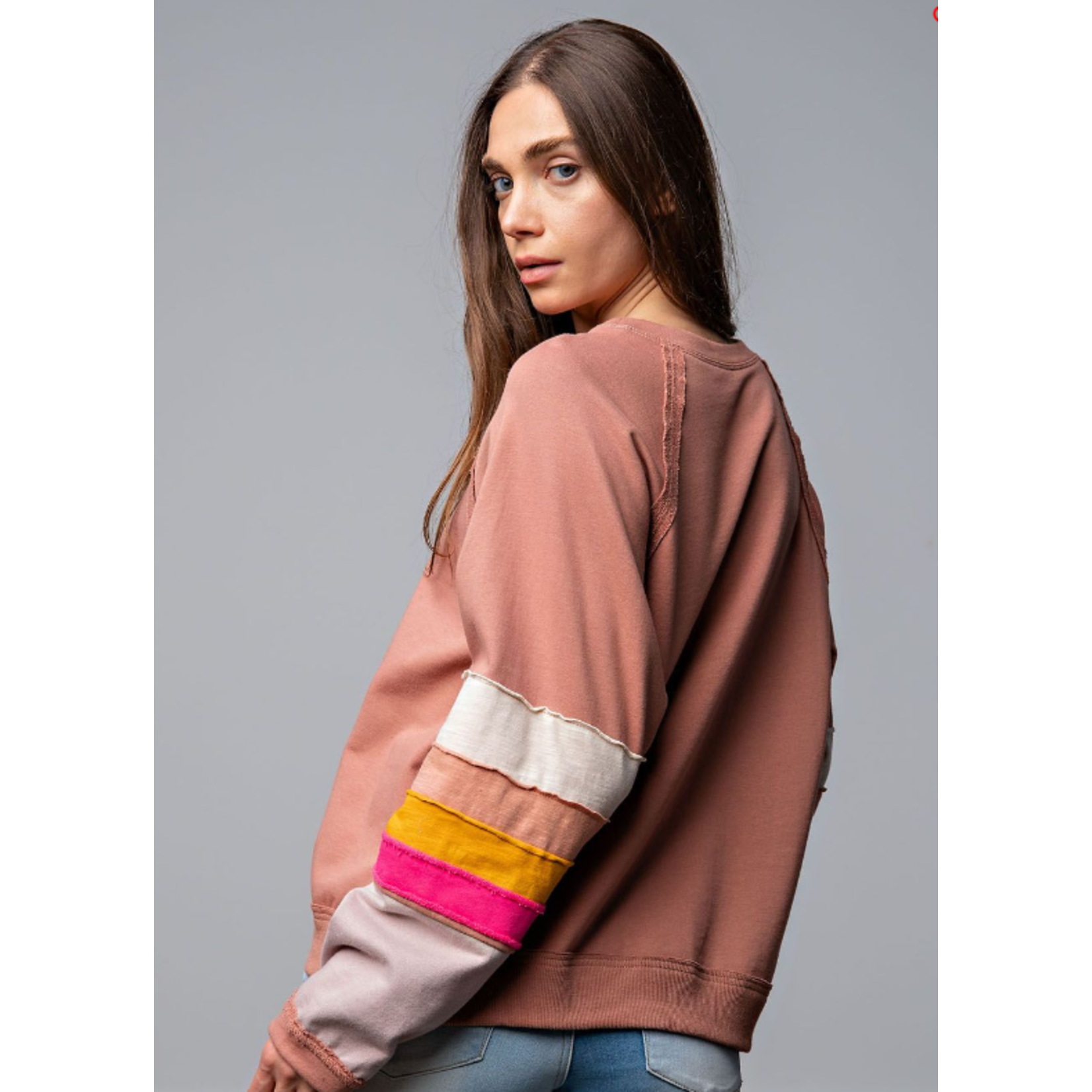 Color Block Sleeve Pullover