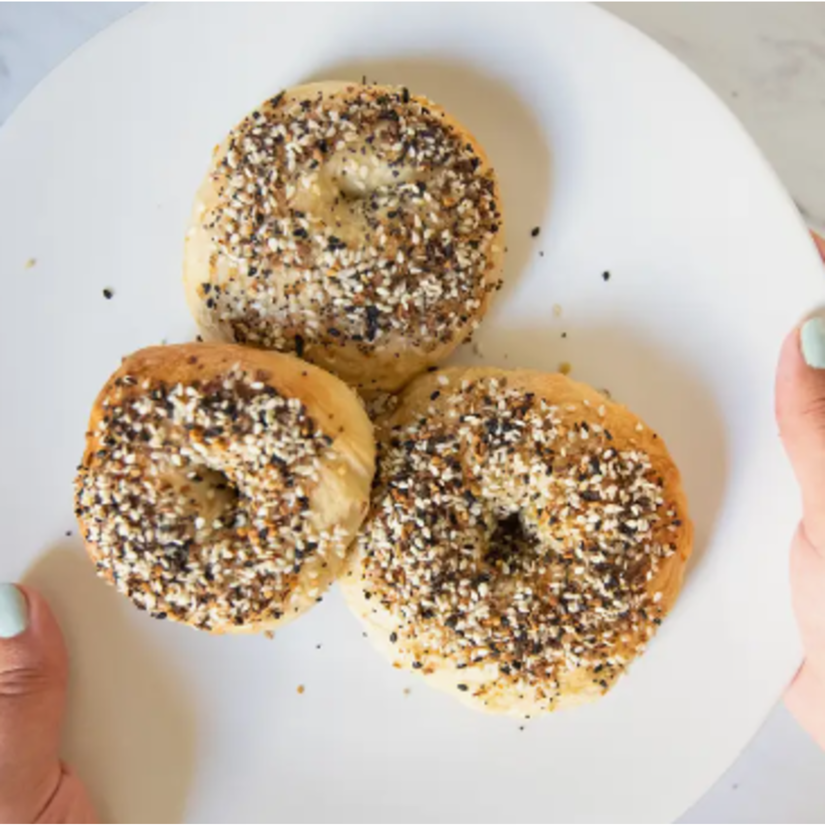 Everything Bagel and Cream Cheese Making Kit